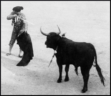 “La mort du taureau dans l’arène” par Sophie Malakian Verneuil