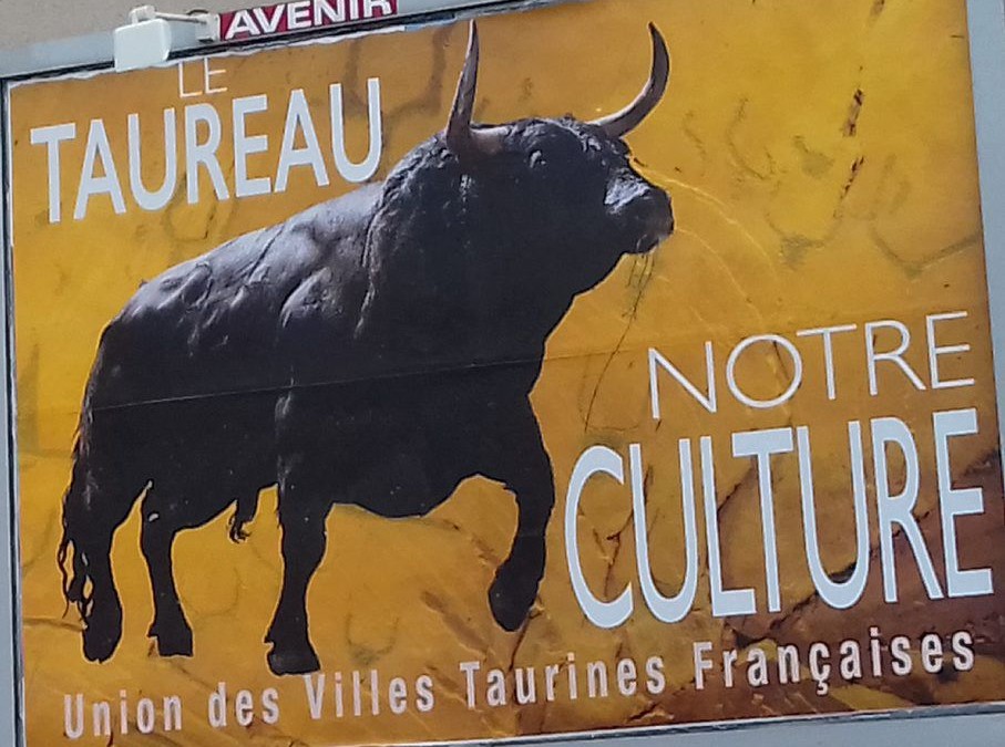 Affiche Le taureau notre culture à Toulouse